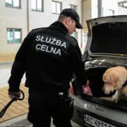 celnik