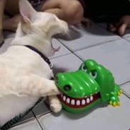 n00b.mp4