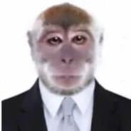 O Macaco Prodígio