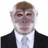 O Macaco Prodígio
