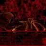 goreaholic