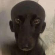 bibop