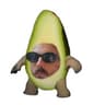 Renzo