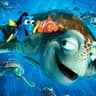 JellowFish