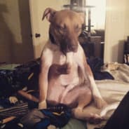 AB