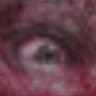 ibal
