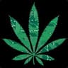 XXYYXX