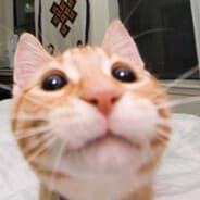 jak