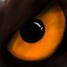 Blackmorn