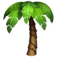 just a palmtree ツ