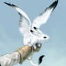 The Flying Bunny