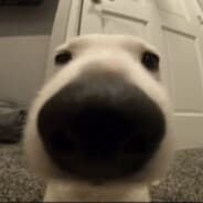 wAq