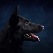 Ákos