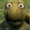 Green monkey