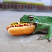 Frogger