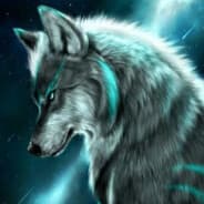 xX_NightWolf_Xx