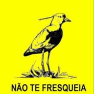 la cucaracha  ็