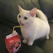 realcoolboy14