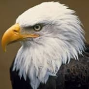 Eagle man