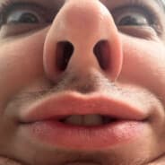 Voggy