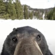 AAAAAAAAAAAAAAAAAAAAAAAAAAA
