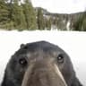 AAAAAAAAAAAAAAAAAAAAAAAAAAA