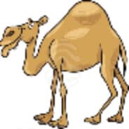 iKamel