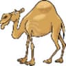 iKamel
