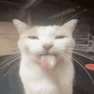 yammie