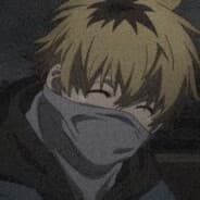 Hide