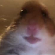 F3