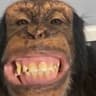 titi ciorap