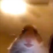 LWR4R