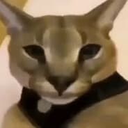virgin final boss