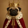 XX_MOPS_XX
