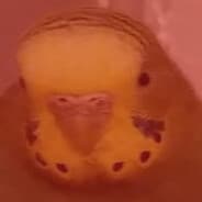 ganjubA$$ik