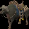 bank buffalo