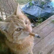 bashmak