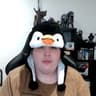 RagingPenguin95