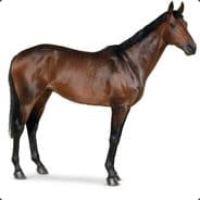 RONNIE THE HORSE