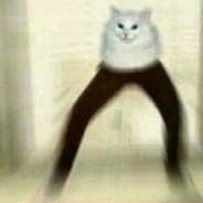 Hotão, o gato de calça