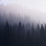 fade