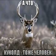 PRO | Stitytka