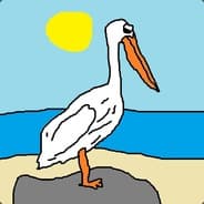 pelican