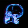 X Ray