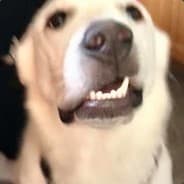 TheKidKrayco(NotFound.tech)