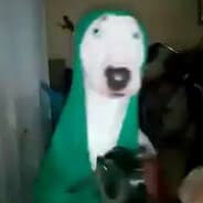 gwy