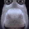 George