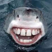 Juru Giluminis Ryklys