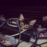 kitty.mp4